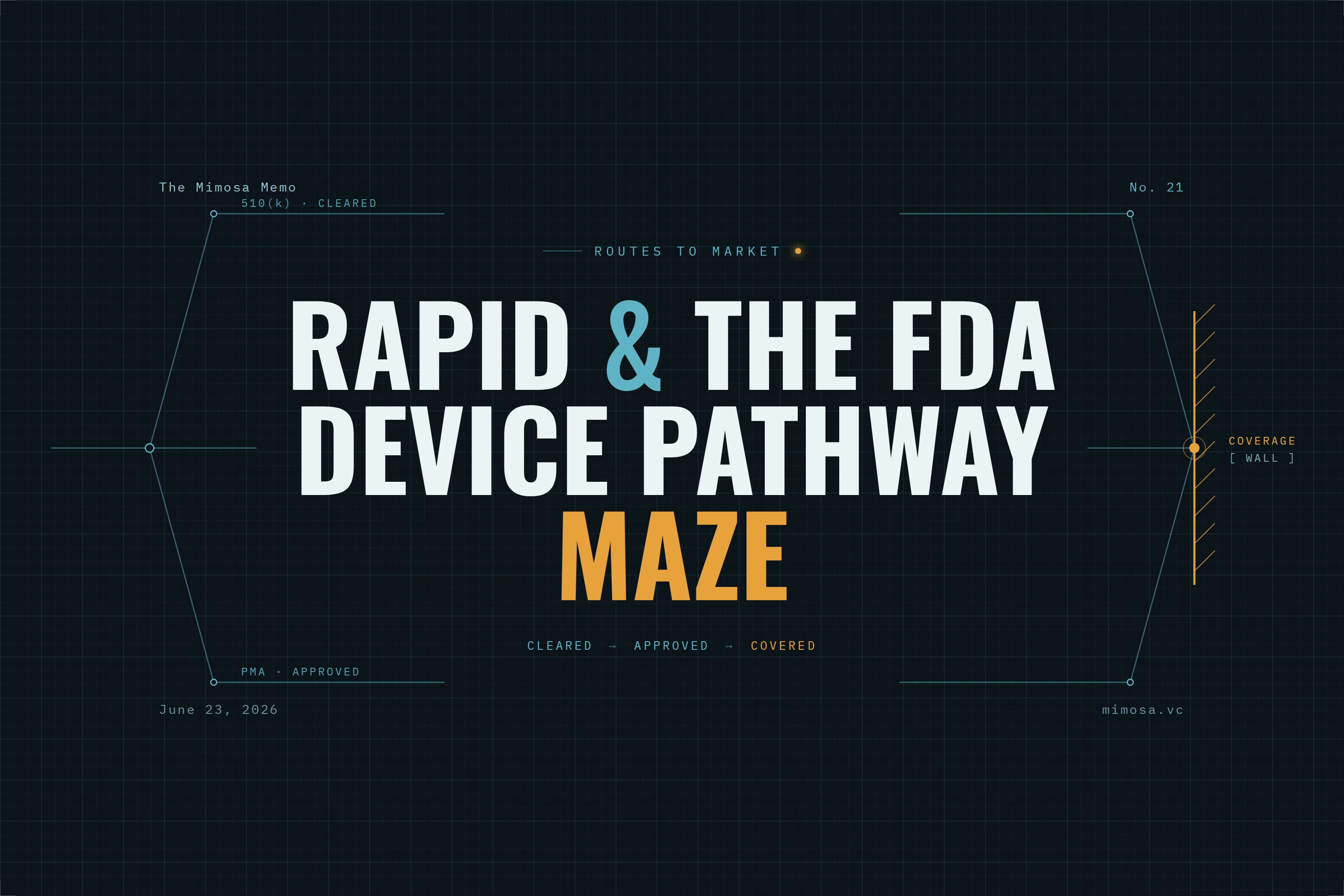 Cover for RAPID and the FDA Device Pathway Maze